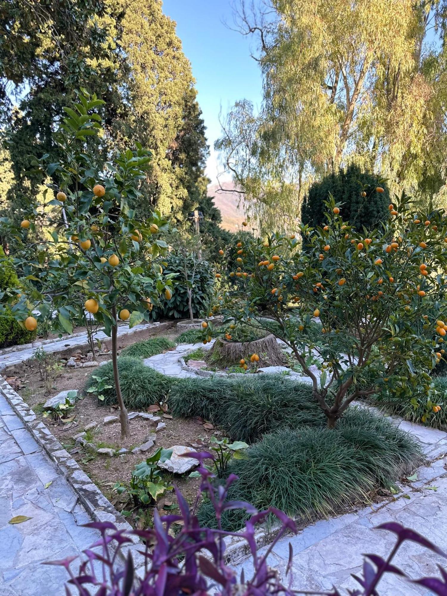 Studio Apartment Palma Herceg Novi Eksteriør bilde